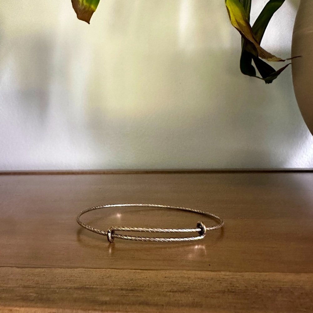 Alex+Ani Braid Sterling Bracelet